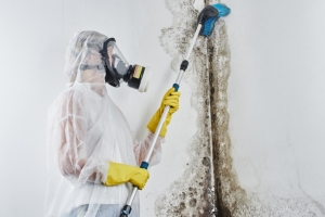 Importance Of Timely Taken Mold Removal Service to Your Health