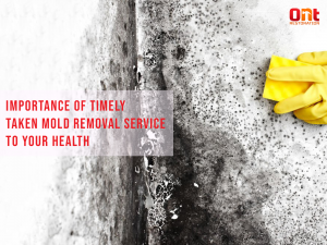 Importance Of Mold Removal Service Timely Taken  to Your Health